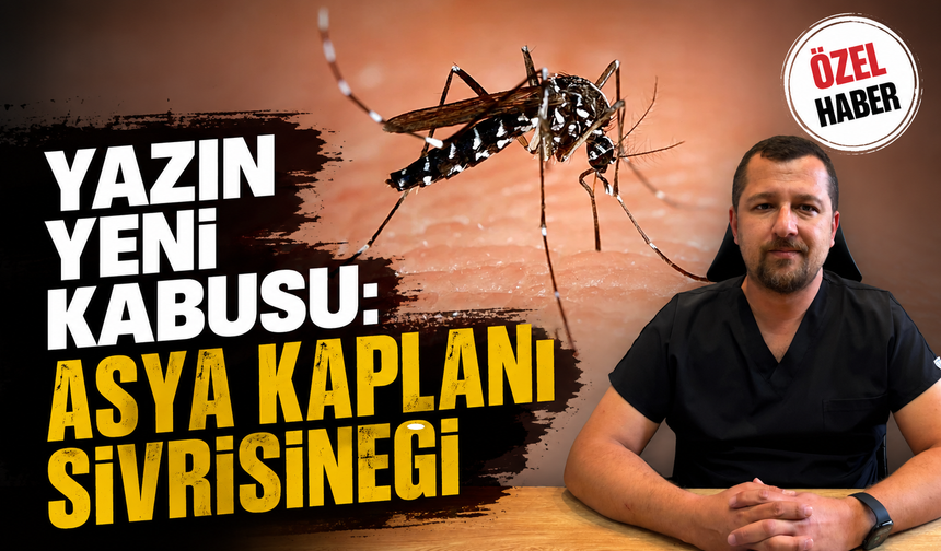 Yazın Yeni Kabusu: Asya Kaplanı Sivrisineği