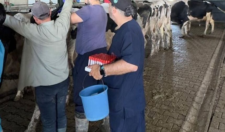 Keşan'da hastalıktan ari işletmeler denetlendi