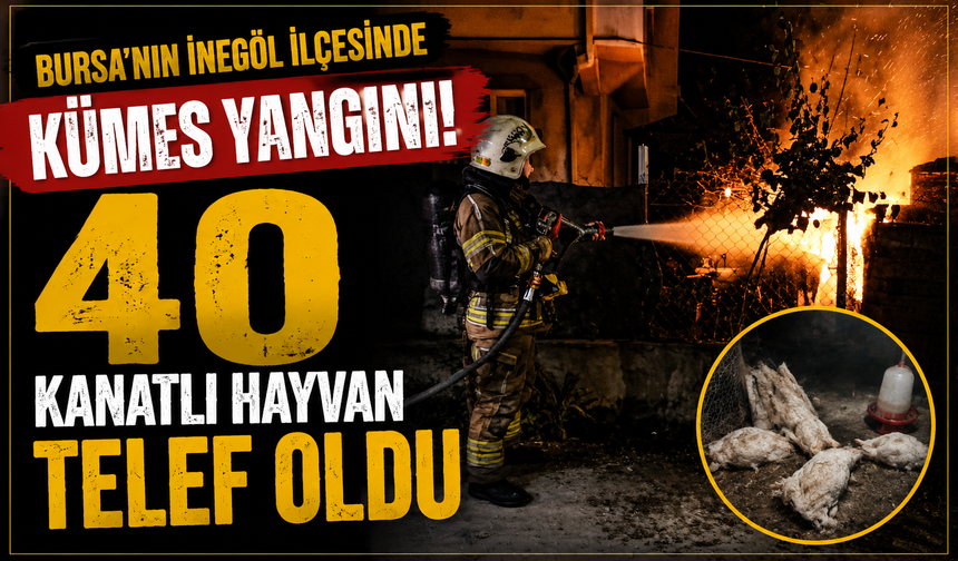 40 Kanatlı Hayvan Telef Oldu