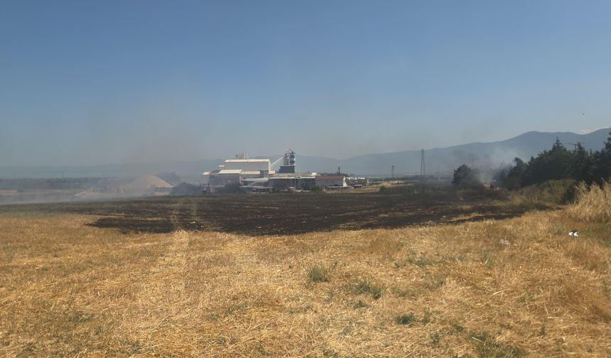 Otluk alanda çıkan yangın korkuttu
