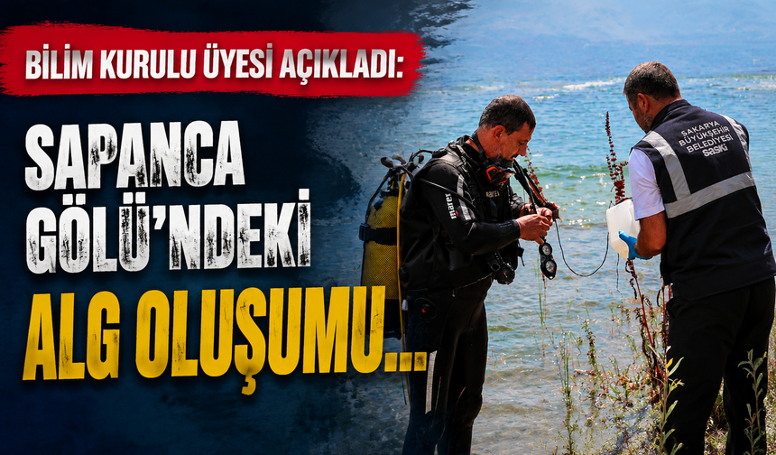 Bilim Kurulu Üyesi Açıkladı: Sapanca Gölü’ndeki Alg Oluşumu Mevsimsel