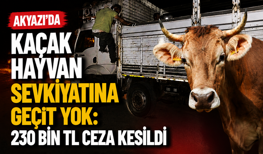 Akyazı’da Kaçak Hayvan Sevkiyatına Geçit Yok: 230 Bin TL Ceza Kesildi