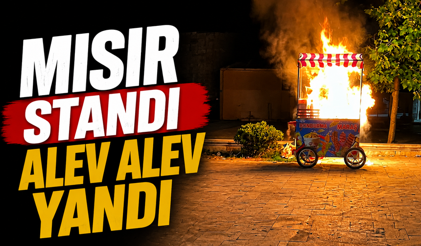 Karasu’da Konser Alanında Mısır Standı Alev Aldı