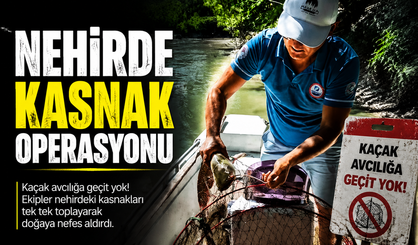 Söğütlü’de Kaçak Avcılığa Geçit Yok
