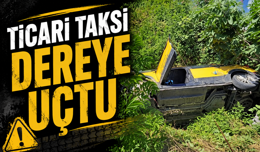 Ticari Taksi Dereye Uçtu