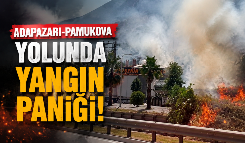 Adapazarı-Pamukova Yolunda Yangın Paniği