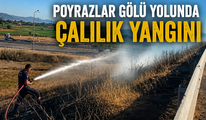 Poyrazlar Gölü yolunda çalılık yangını paniği