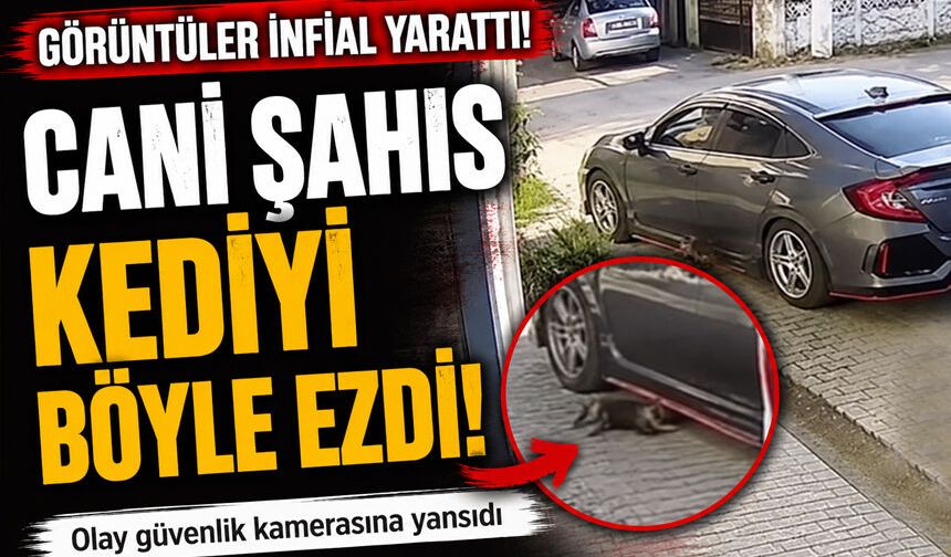Sakarya'da Vicdanları Sızlatan Olay!