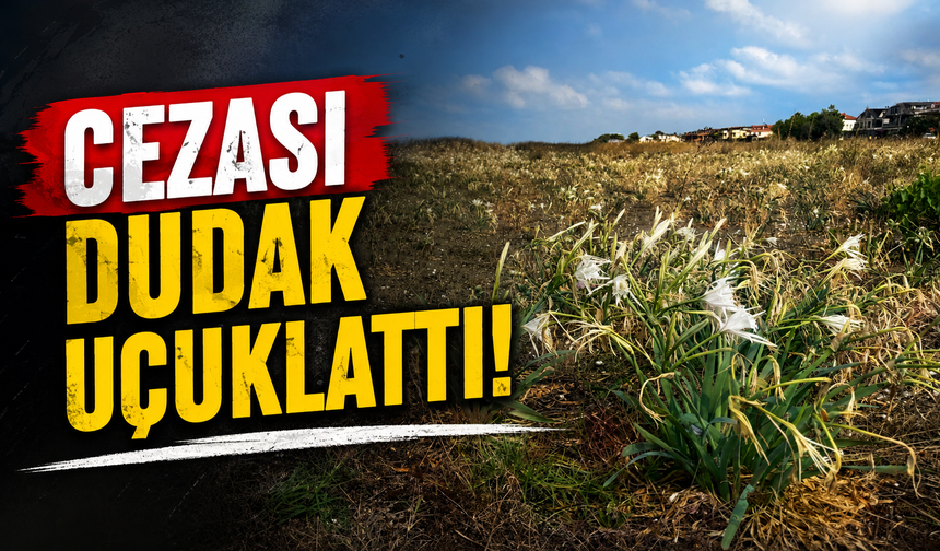 Kocaali’de Dikkat Çeken Görüntü: 700 Bin Liralık Cezası Var, Çöpler Arasında Kaldı