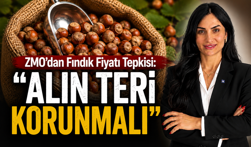 ZMO’dan Fındık Fiyatı Tepkisi: “Alın Teri Korunmalı”