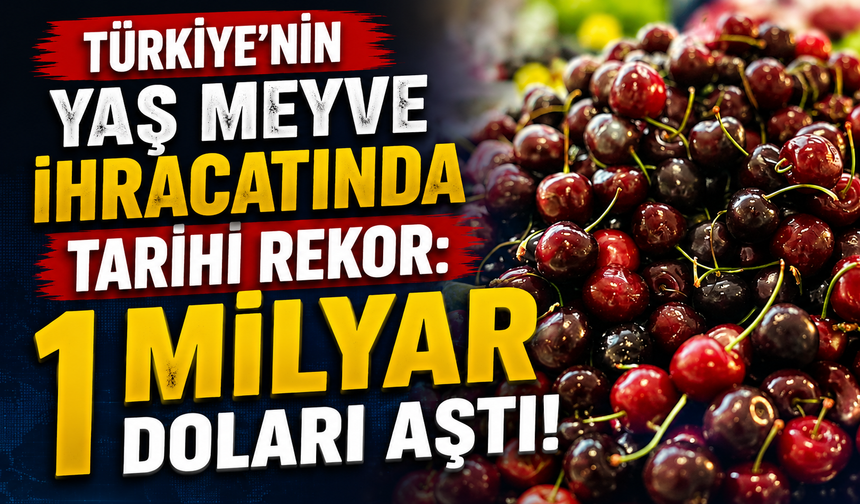 Türkiye’nin Yaş Meyve İhracatında Tarihi Rekor: İlk Kez 1 Milyar Doları Aştı