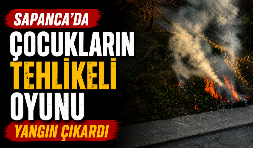 Sapanca’da çocukların tehlikeli oyunu yangın çıkardı