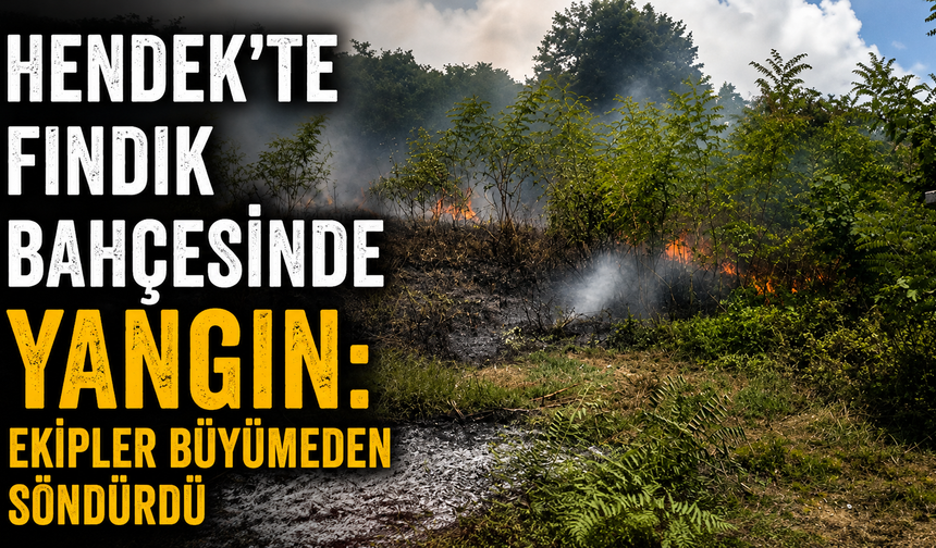 Hendek’te fındık bahçesinde yangın: Ekipler büyümeden söndürdü