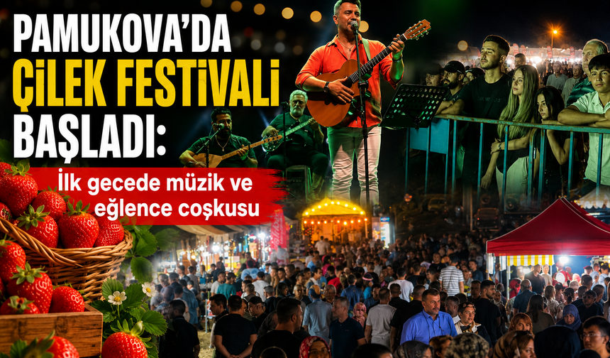 Pamukova’da Çilek Festivali başladı!