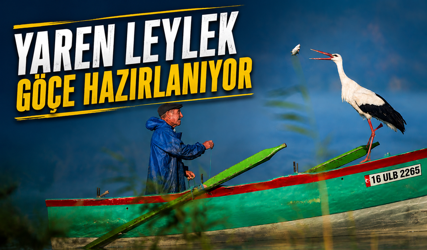 Yaren leylek veda için hazırlanıyor: Adem amcanın gözleri doluyor