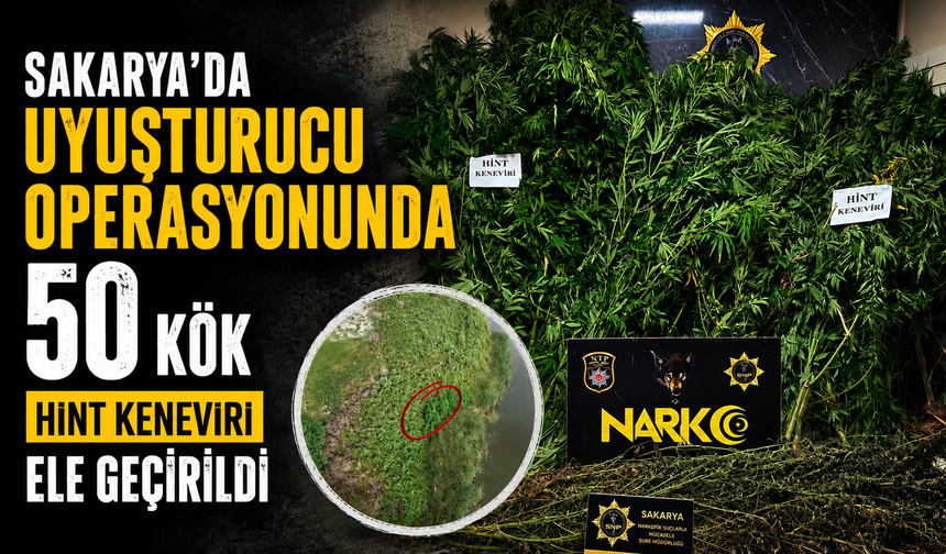 Karasu’da Uyuşturucu Operasyonu: 50 Kök Hint Keneviri ve 10 Kilo Esrar Ele Geçirildi