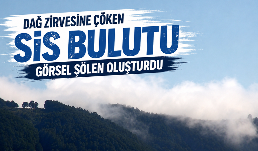 Dikmen Yaylası'nda Sis Büyüledi: Kartpostallık Manzaralar Oluştu