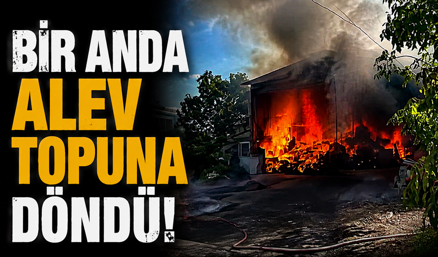 Bir anda alev topuna döndü! Kayrancık’ta yangın paniği