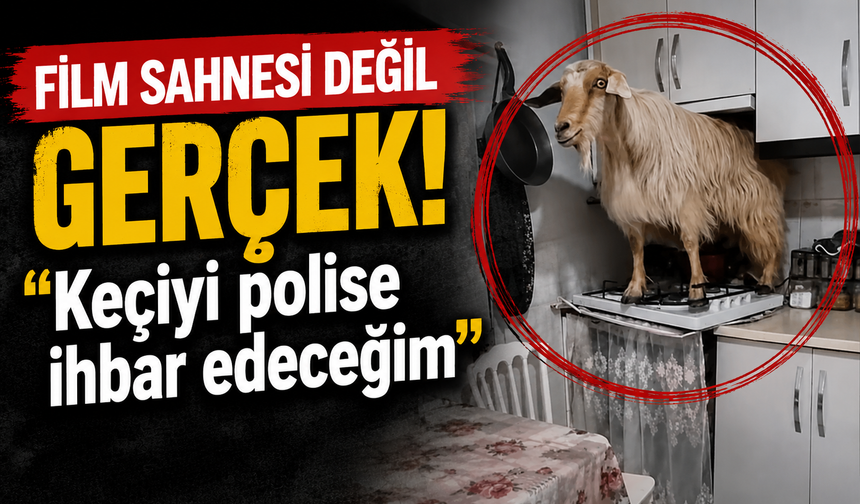 Film sahnesi gibi olay!