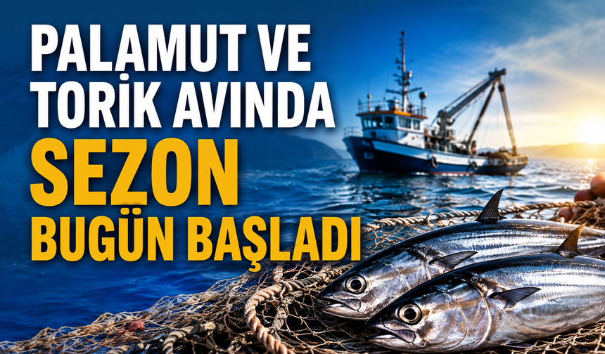 Palamut ve torik avında sezon bugün başladı