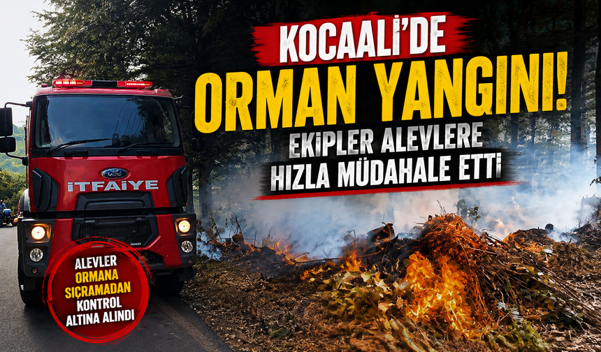 Kocaali’de orman yangını! Ekipler alevlere hızla müdahale etti