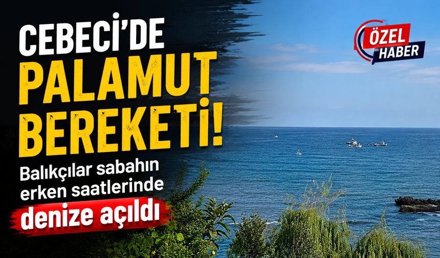 Cebeci’de palamut bereketi! Balıkçılar sabahın erken saatlerinde denize açıldı
