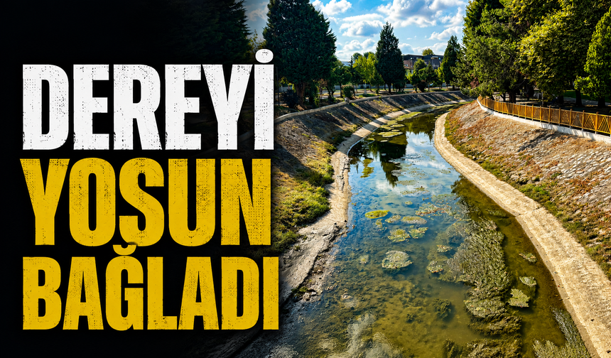 Çark Deresi’nde Yosun Sorunu: Vatandaşlar Temizlik ve Çözüm Bekliyor