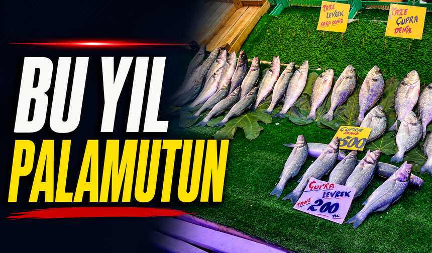 Bu yıl palamutun!