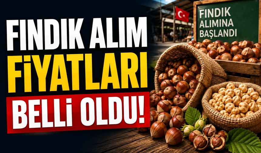 TMO 2026-2027 Sezonu Fındık Alım Fiyatlarını Açıkladı