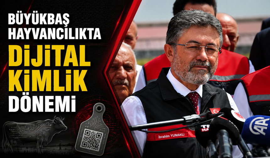 Büyükbaş Hayvancılıkta Dijital Dönem