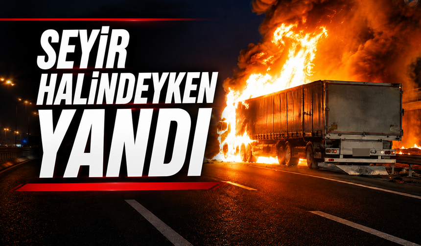Sakarya’da TEM Otoyolu’nda Tır Yangını