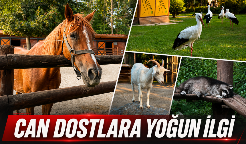 Can Dostlara Yoğun İlgi