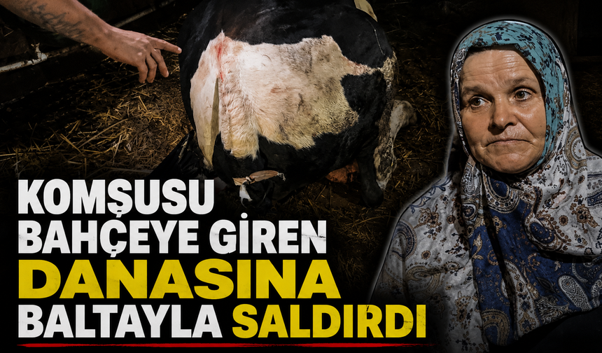 Komşusu bahçeye giren danaya baltayla saldırdı!