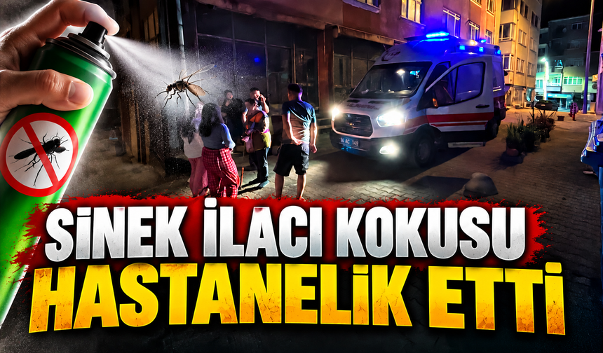 Sinek ilaçlaması sonrası korkutan olay: 76 yaşındaki kadın ve 2 sağlık çalışanı hastanelik oldu