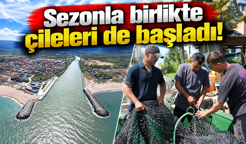 Sezonla birlikte çileleri de başladı! Sakaryalı balıkçılardan liman çağrısı