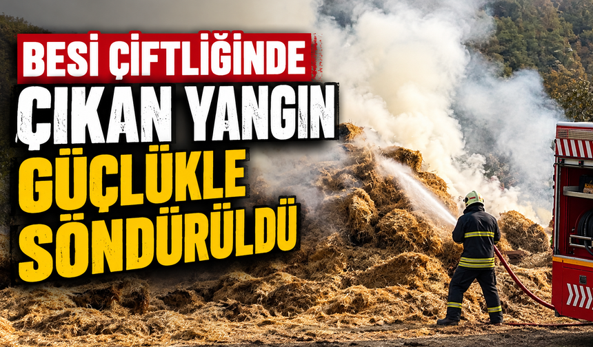 Besi çiftliğinde çıkan yangın güçlükle söndürüldü