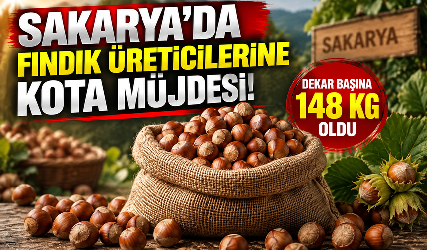 Sakarya'da fındık üreticilerine kota müjdesi!