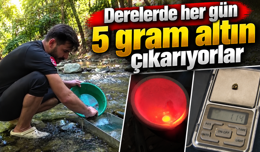 Derelerde her gün gram gram altın çıkarıyor! Askerliği bıraktı, mesleği altın aramak oldu