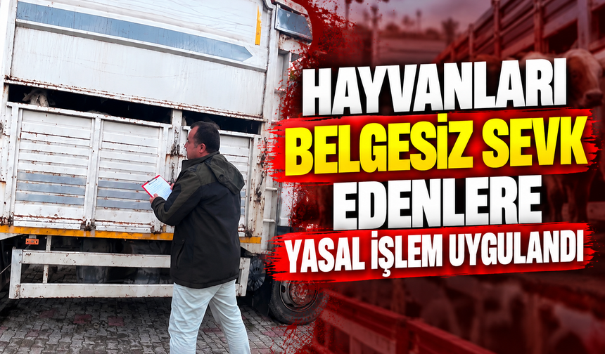 Hayvanları belgesiz sevk edenlere yasal işlem uygulandı