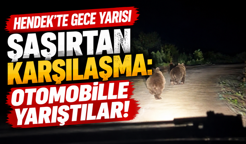 Hendek’te gece yarısı şaşırtan karşılaşma: Otomobille yarıştılar!