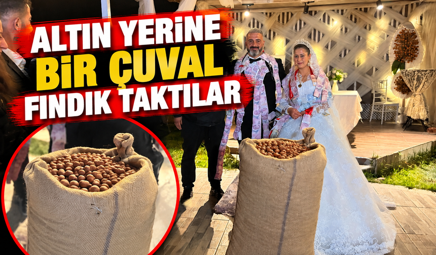 Düğünde altın yerine bir çuval fındık taktılar