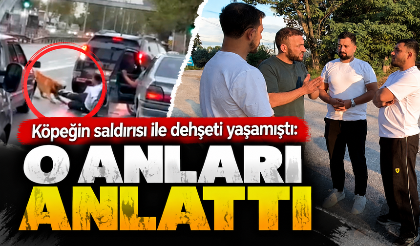 Köpeğin saldırısı ile dehşeti yaşamıştı: O anları anlattı