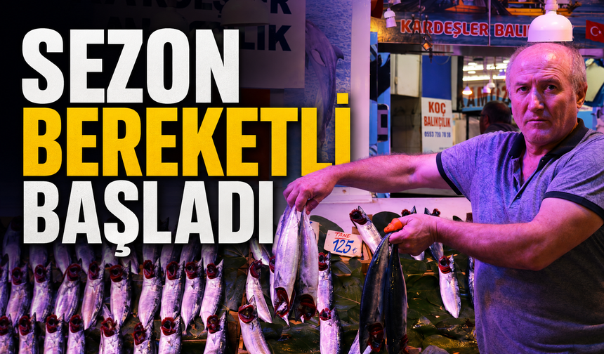 Av yasağı sona erdi, tezgâhlar palamut ve hamsiyle doldu