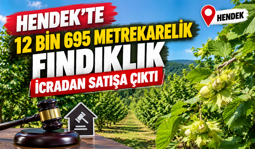 Hendek’te 12 bin 695 metrekarelik fındıklık icradan satışa çıktı