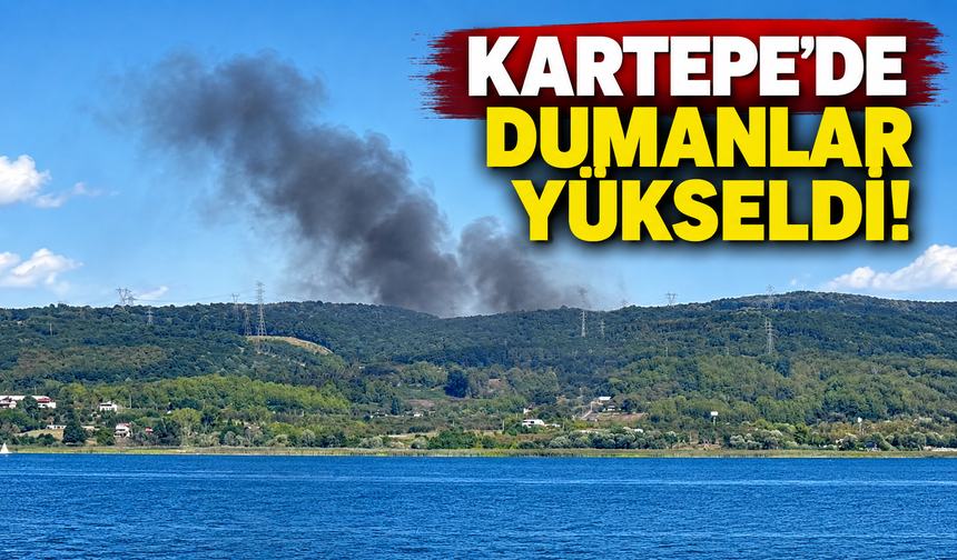 Kartepe mevkiinde yükselen dumanlar endişelendirdi