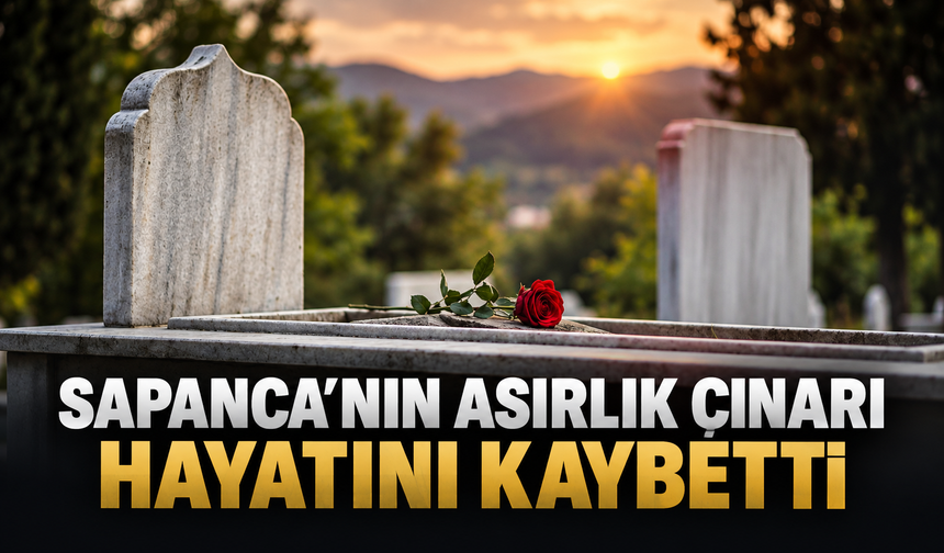 Sapanca’nın asırlık çınarı hayatını kaybetti