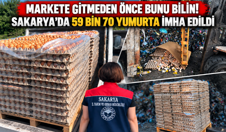 Sakarya’da 59 bin 70 yumurta imha edildi