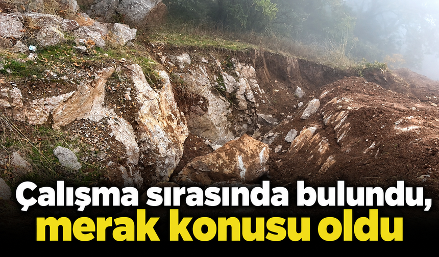 Sakarya’da çalışma sırasında bulundu! Antik yazıtlı dev taş merak konusu oldu