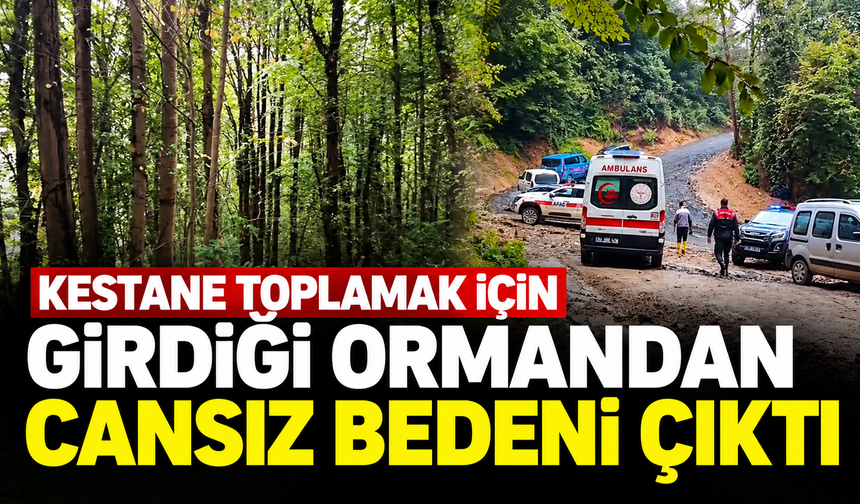 Sapanca'da kestane toplamaya giden 66 yaşındaki adam ölü bulundu!