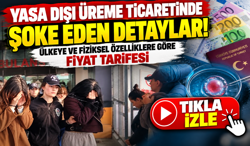 Yasa dışı üreme ticaretinde şoke eden detaylar! Ülkeye ve fiziksel özelliklere göre fiyat tarifesi